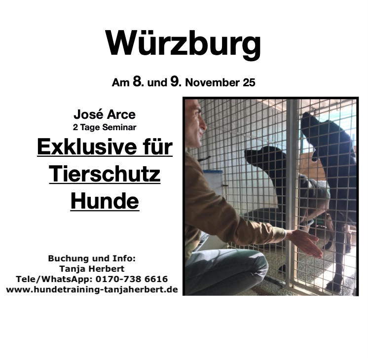Jose Arce Tierschutzhunde 2