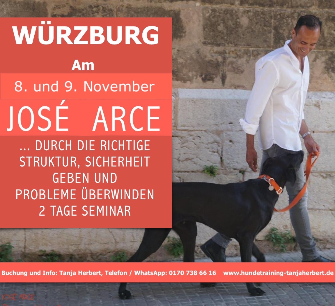 Jose Arce