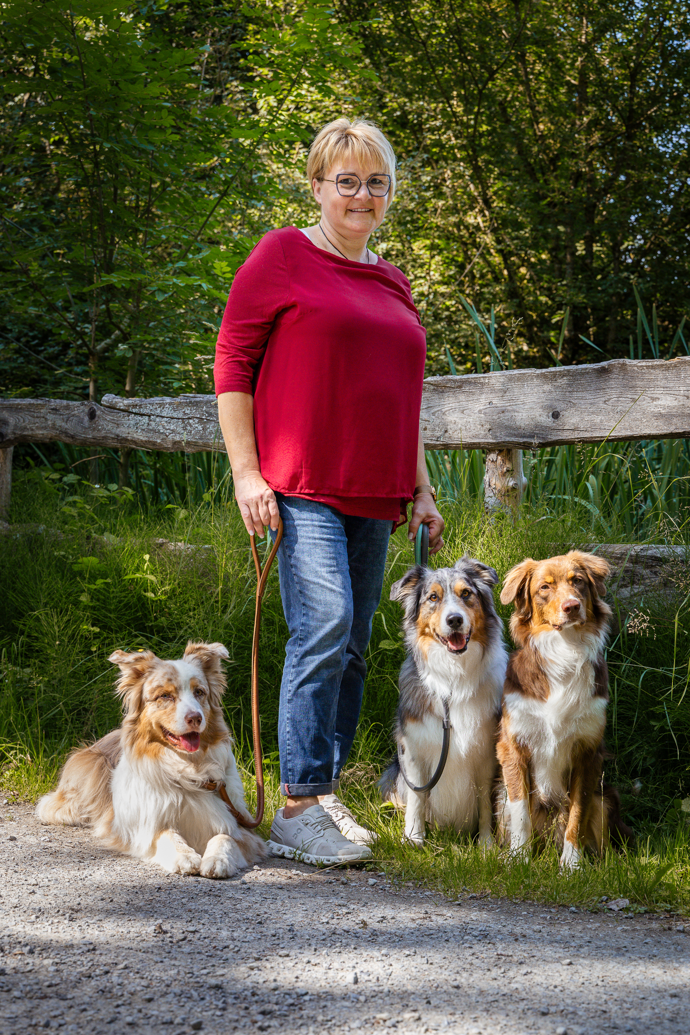 Mehrhundehalter