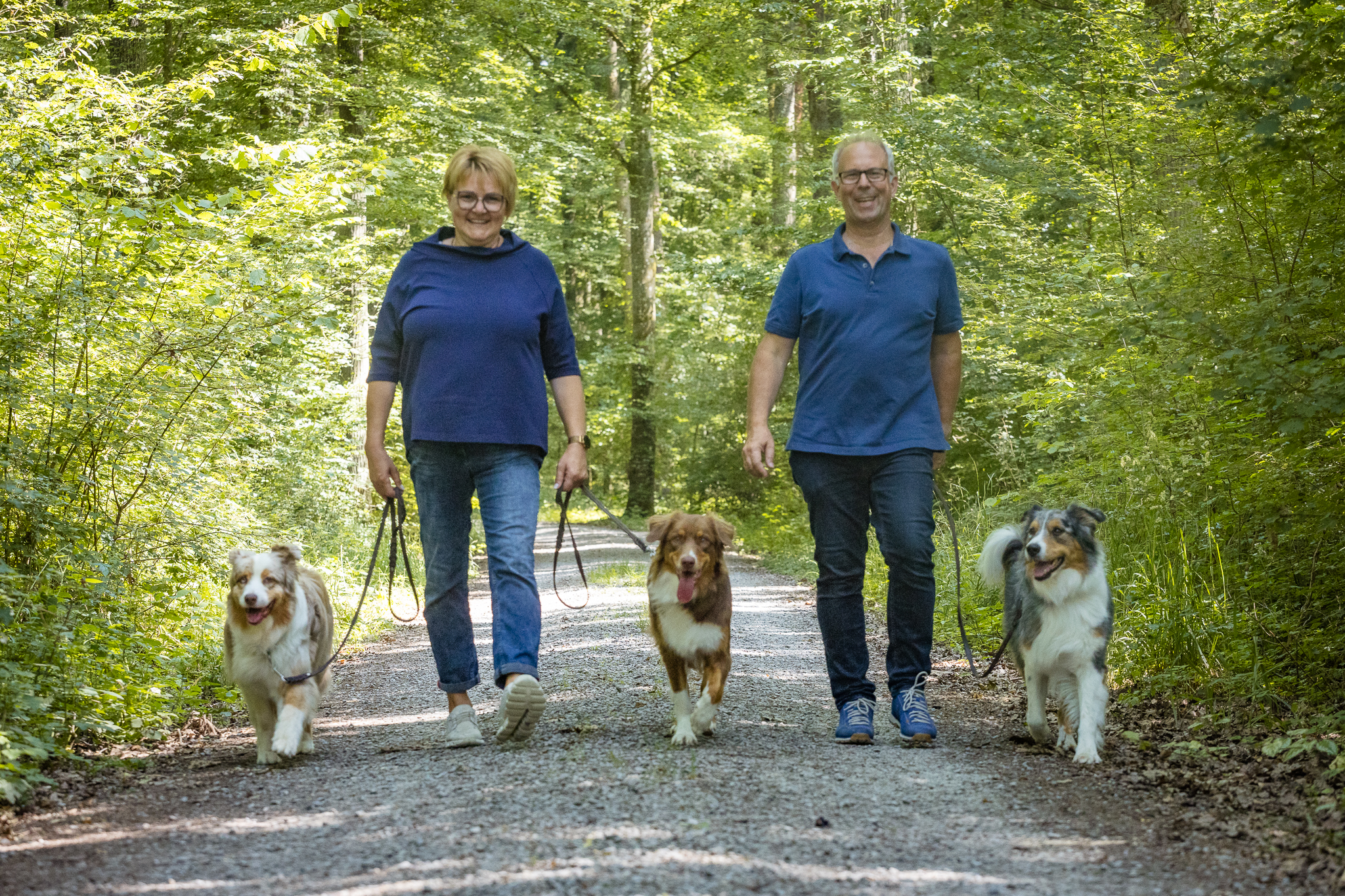 Spaziergang mit dem Rudel