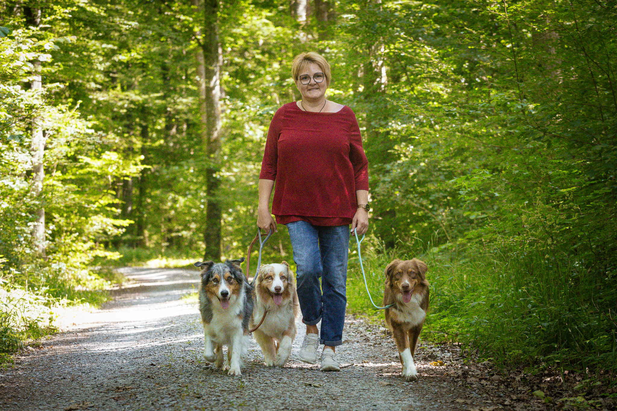 Spaziergang mit drei Hunden Führe deinen Hund richtig