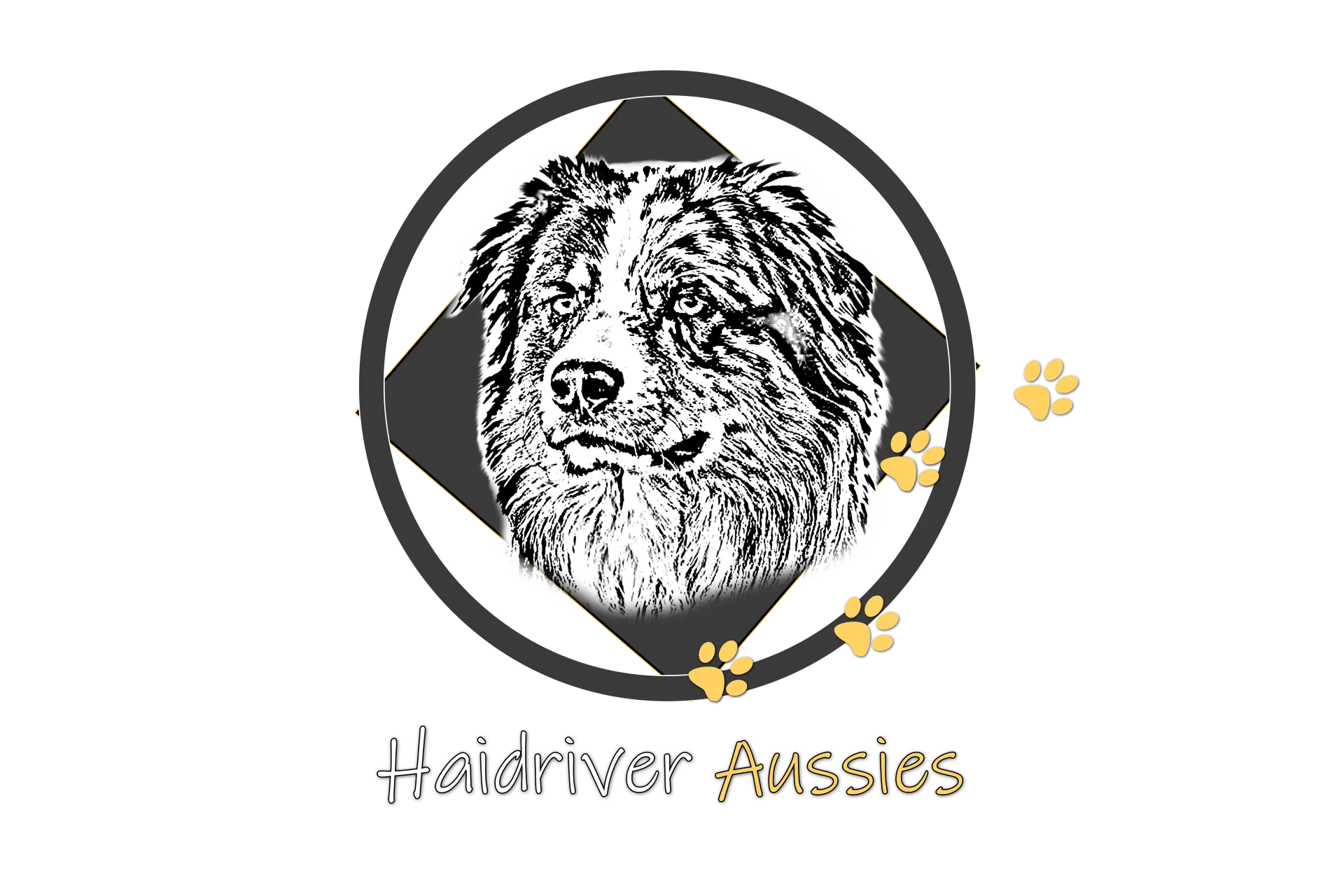 Haidrivers_Logo